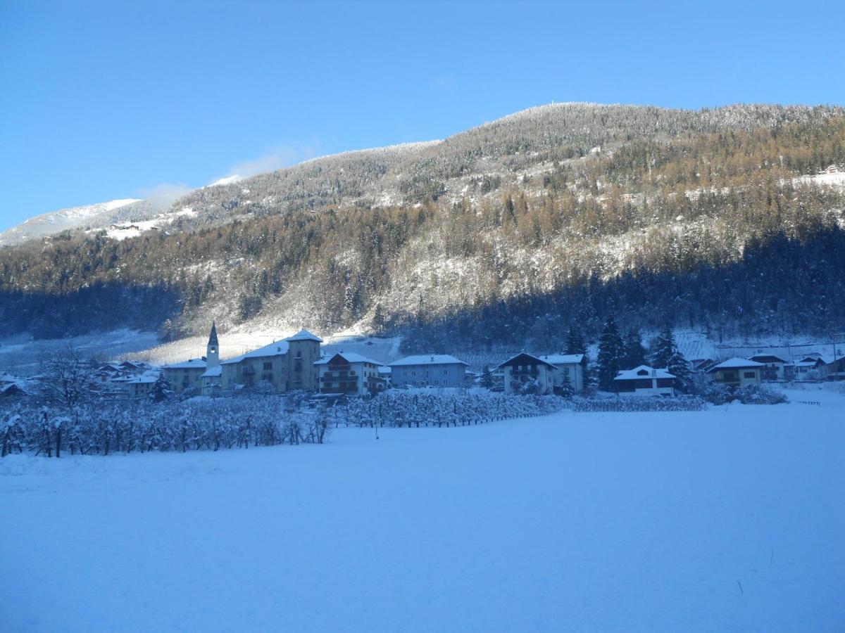 Angeli Dolomiti House Lägenhet Croviana Exteriör bild